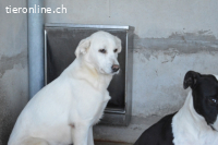 Cyra - Cyra, bald bist auch Du dran!