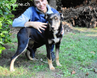 Damiana - ein schüchternes Hundemädchen sucht Sicherheit