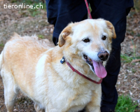 Dario - Warum eigentlich nicht ich?