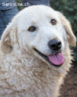 Dayton - niemals ist eine schrecklich lange Zeit...