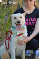 Die liebevolle und verschmuste Fela sucht ihr Zuhause