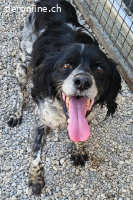 Dina (12 Jahre)- sucht Partner für letzten Lebensabschnitt