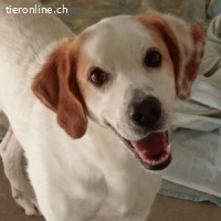 Dres - hofft, dieses Jahr endlich sein Jahr wird