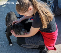 Dusty, tolle Fellnase