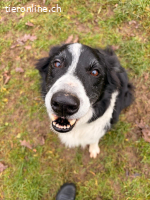 Eddy – ein treuer Begleiter