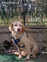 Ein Herz voller Liebe sucht eine Zukunft in einer Familie