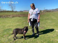 Ein stiller, treuer Begleiter wartet auf seine Chance