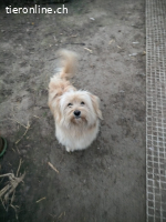 Eirik, ein tapferer kleiner Schatz sucht sein Glück