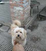 Eirik, ein tapferer kleiner Schatz sucht sein Glück