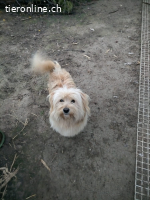 Eirik, ein tapferer kleiner Schatz sucht sein Glück