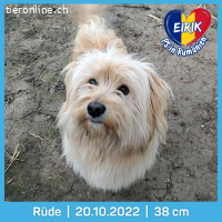 Eirik, ein tapferer kleiner Schatz sucht sein Glück