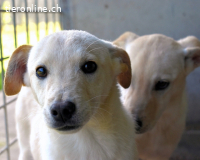 Elvio - seine Mut-Münzen sind fast aufgebraucht