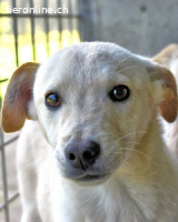 Elvio - seine Mut-Münzen sind fast aufgebraucht