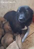 Emy - Geburt in einem Erdloch