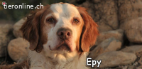 EPY