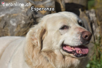 ESPERANZA