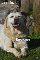 ESPERANZA