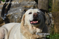 ESPERANZA