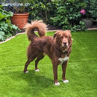 Eurialo - Wenn du alles verlierst....