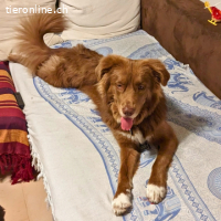 Eurialo - Wenn du alles verlierst....