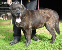 Fareeda - Wo die Schmetterlinge wohnen...