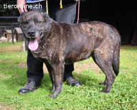 Fareeda - Wo die Schmetterlinge wohnen...