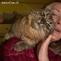 FELICIA - EINE SANFTE LIEBE SEELE