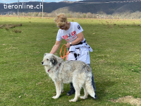 Fetitza ruhig und gelassen