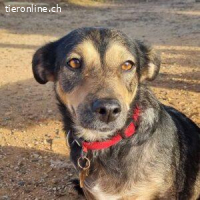 Fiama – außergewöhnliche Mutter mit einem Herz aus Gold