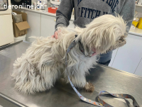 Filipa, wird immer mutiger