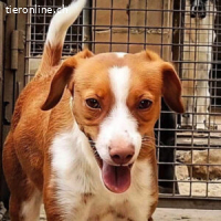 Fintis - Auf dem Weg zu dir!