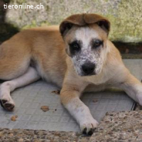 Flora - freundlich, fröhlich und neugierig