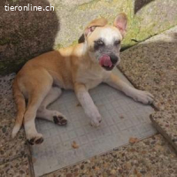 Flora - freundlich, fröhlich und neugierig