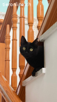 Fosca liebt alle Zwei- und Vierbeiner