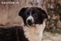 Fröhliche Ofelia sucht ihr Abenteuer fürs Leben