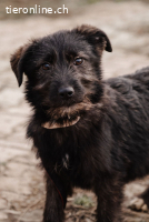 Fröhliche Olina sucht ihr Zuhause fürs Leben