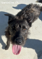 Fröhliche Olina sucht ihr Zuhause fürs Leben