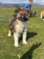 Fröhlicher Urano möchte die Welt mit dir entdecken