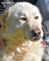 Fyona - Hell wie das Licht