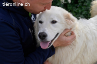 Garth - Kannst du machen, dass es nicht so lange dauert?