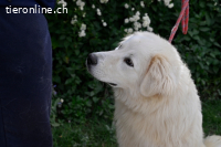 Garth - Kannst du machen, dass es nicht so lange dauert?