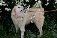 Garth - Kannst du machen, dass es nicht so lange dauert?