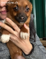 Gessy sucht euch um mit euch ein wunderschönes Leben zu habe