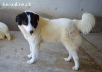 Ghazala - noch ein bisschen scheu, aber voller Neugier