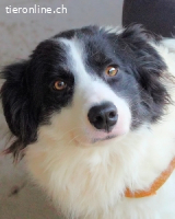 Ghazala - Vertrauen beginnt im leisen Wind