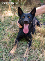 Gloria - ihr Name spricht für sich