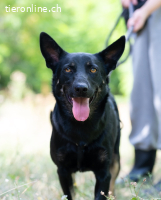 Gloria - ihr Name spricht für sich