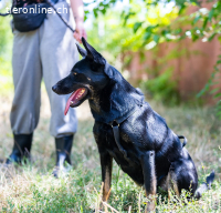 Gloria - ihr Name spricht für sich