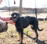 Gloria - ihr Name spricht für sich
