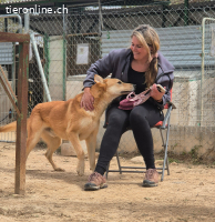 Gorka: Energie im Herzen, Treue im Blick, sucht Dich!